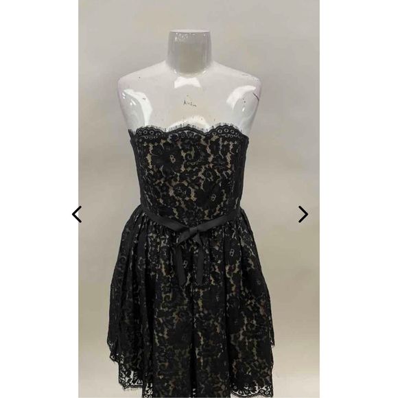 Neiman Marcus Sz 10 Robert Rodriguez Lace Strapless Dress - Picture 1 of 6